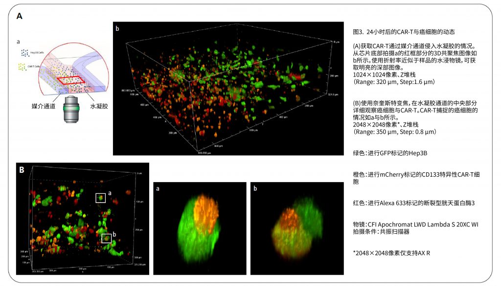 BBIN��Ѷ-������Ϸ����
