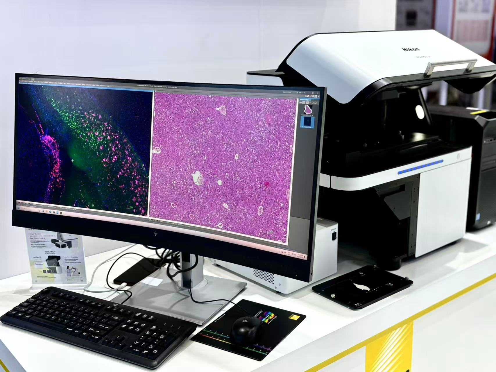 BBIN��Ѷ-������Ϸ����