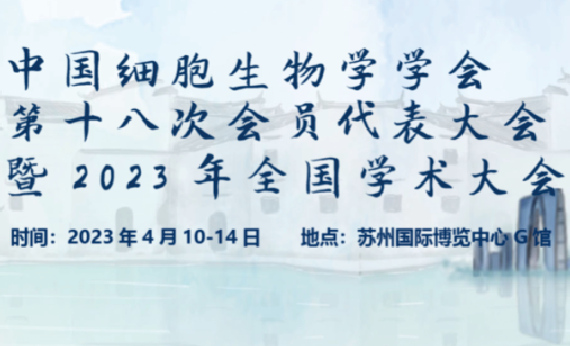 BBIN��Ѷ-������Ϸ����