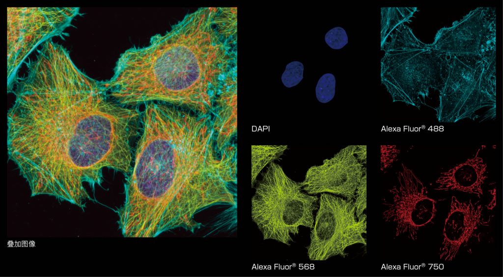 BBIN��Ѷ-������Ϸ����